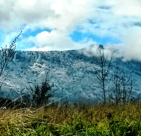 Panoramic Experiences from Sabina Greda, BA